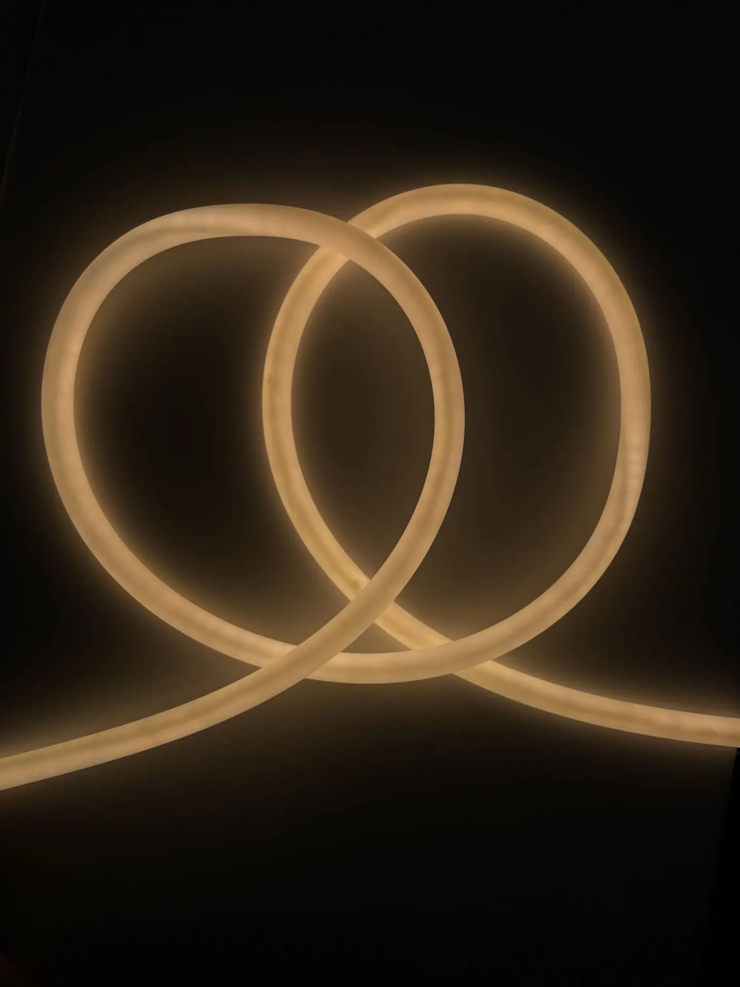 8mm-T5 Circle Neon