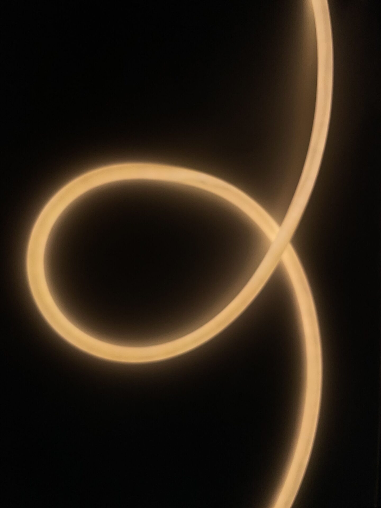 8mm-T5 Circle Neon