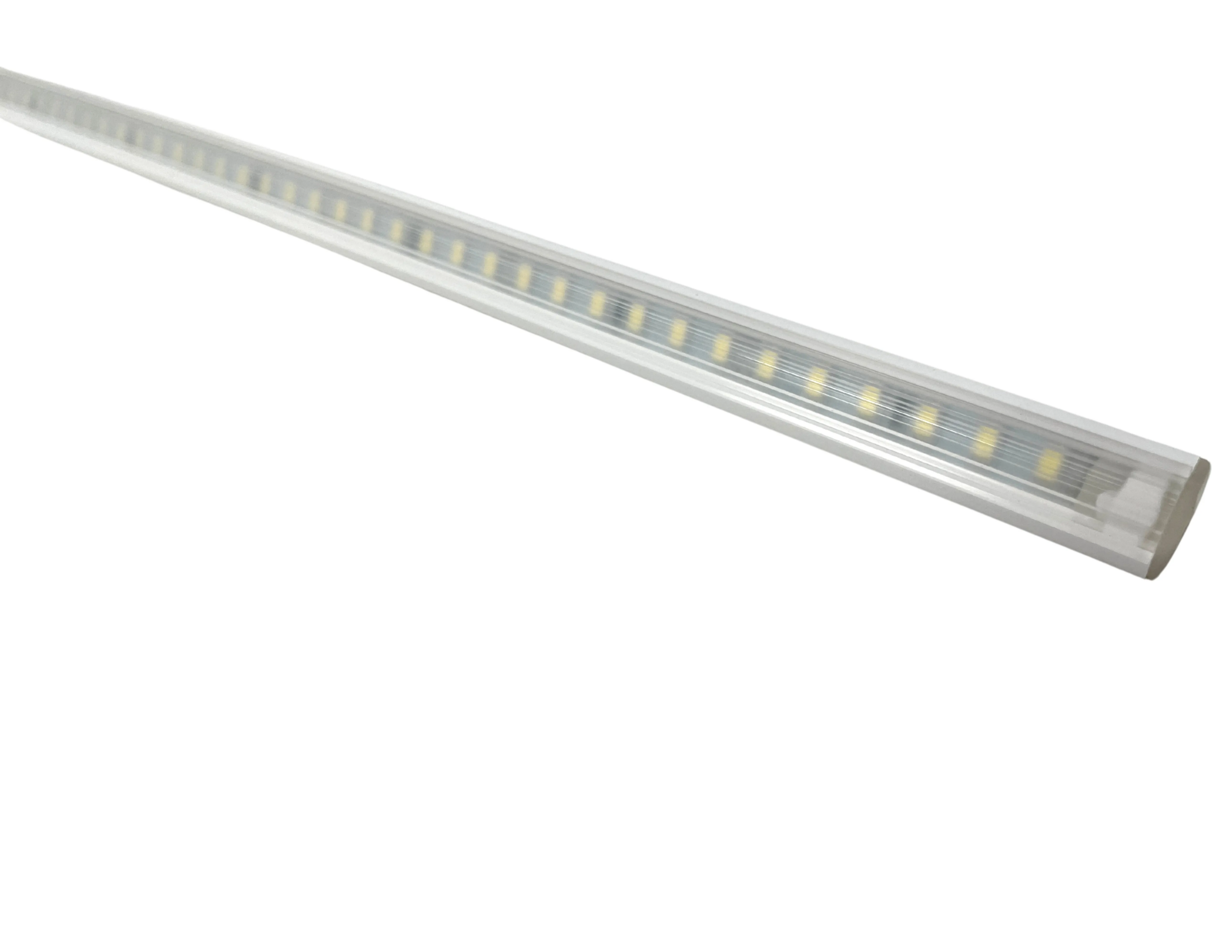 Cannes focus Cannes Focus