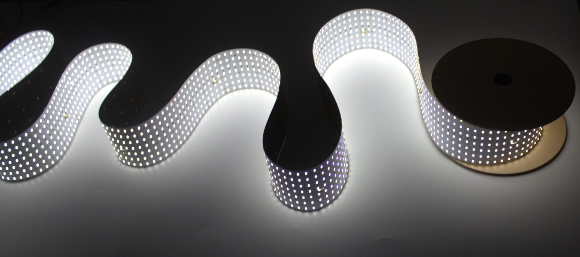 LightWave Roll It (2)