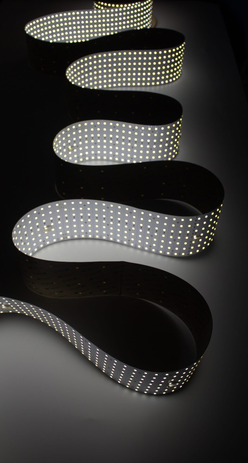 LightWave Roll It (24)