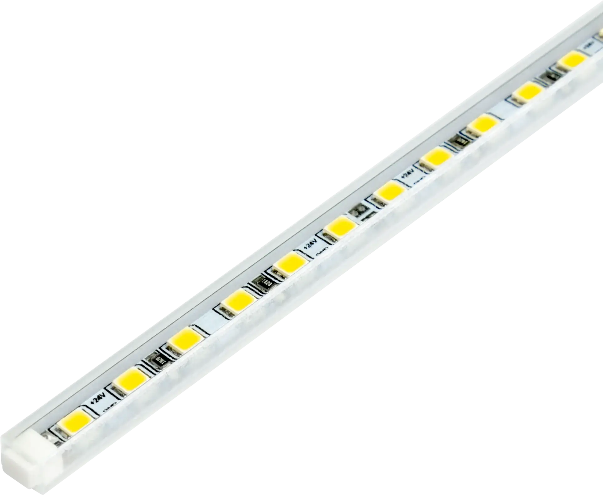 Monaco-photo-scaled Monaco